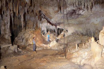 The interior of the cave ‘Avispa enojada,’ in Quintana Roo, when it was discovered in 2016.