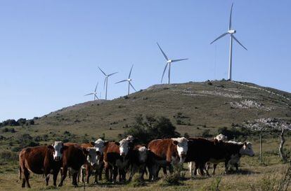 Windmills in Sierra de Caracoles, Uruguay.