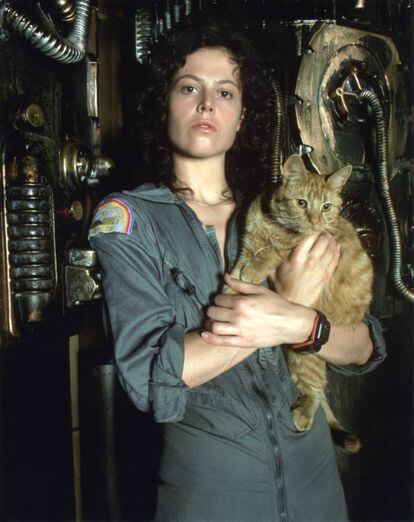 Sigourney Weaver, with the other great creature from 'Alien': the cat