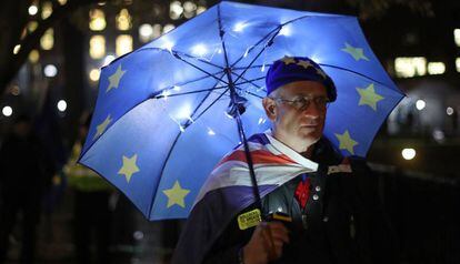 A Remain supporter demonstrates in front of Westminster.