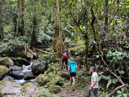 A group of researchers during an expedition through Los Cedros Protective Forest, in Ecuador.