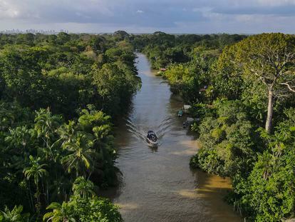 Aerial view of a boat navigating a river in an area of the Amazon rainforest, in the state of Pará, northern Brazil, on August 6, 2023.