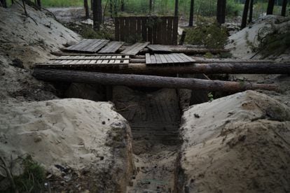 Shelters dug in the forest by the Russian troops.