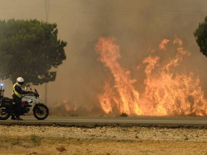 Flames near Mazagón in Huelva province in southern Spain.