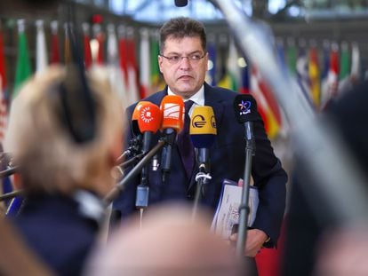 EU Commissioner for Crisis Management and Humanitarian, Aid Janez Lenarčič, speaking to the media on November 13.