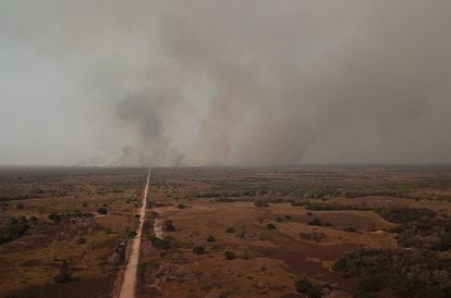A fire in the Pantanal, the largest wetland in the world, in Mato Grosso, Brazil, in 2020.