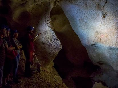 Paintings made by Neanderthals in Spain's Málaga province, where marks that are more than 40,000 years old have been documented.