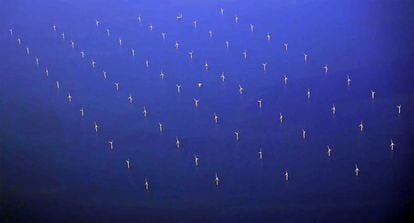 Aerial view of dozens of wind turbines, off the Danish coast.