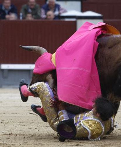 Antonio Nazaré is injured by the bull.