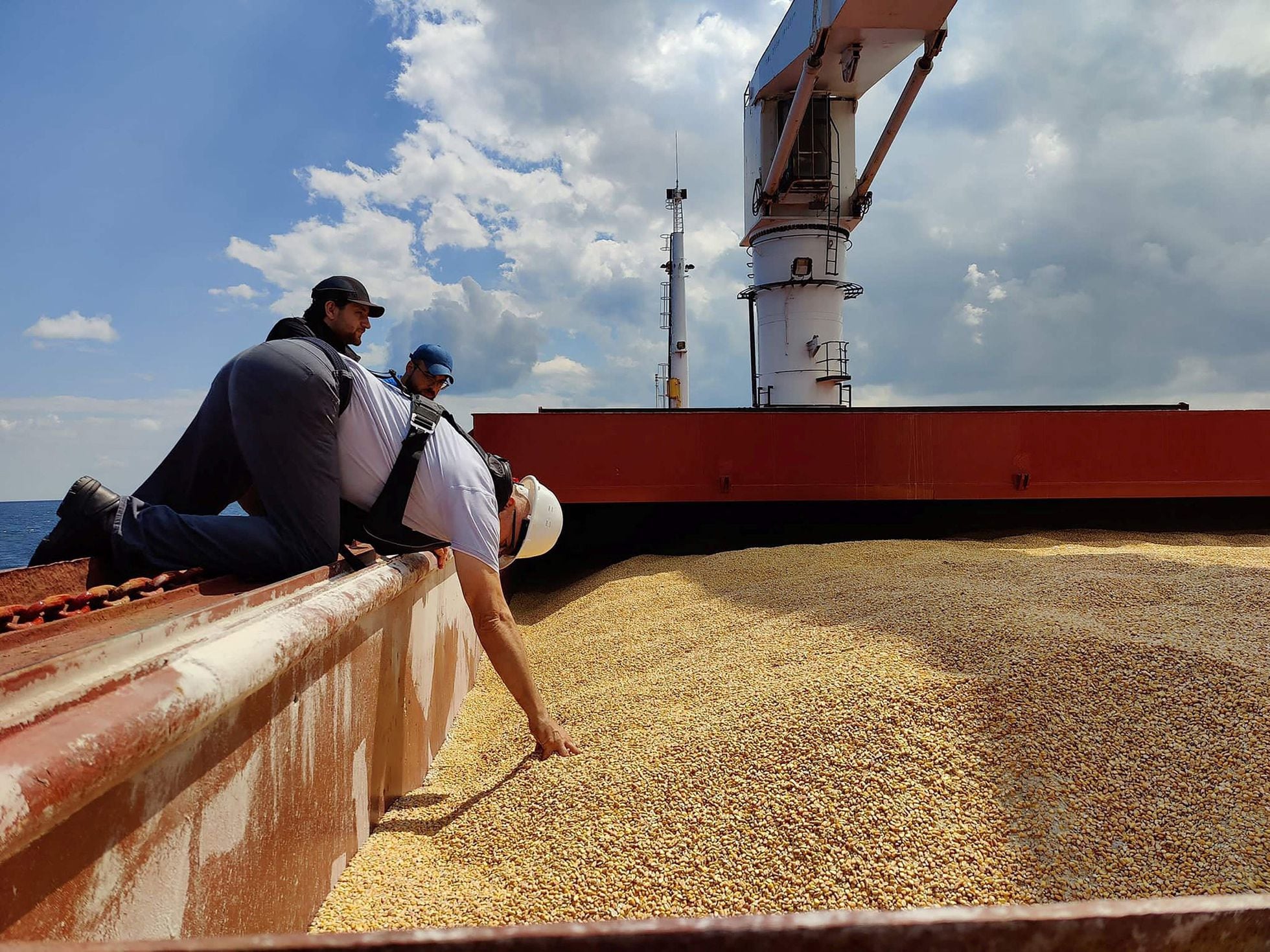 Reopening of the Black Sea grain corridor brings hope for the food crisis |  International | EL PAÍS English Edition