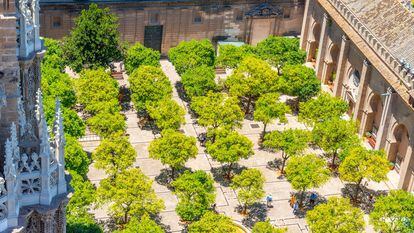 Aerial view of the Patio de los Naranjos of Seville Cathedral from the Giralda tower.