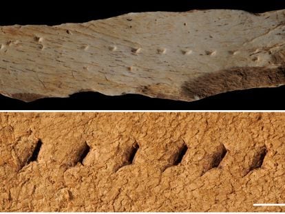 The top photo is of the perforated bone, where the animal skin was placed. It was then struck with a burin, just as shoemakers still do today. Below is the skin that was examined in recent analyses.