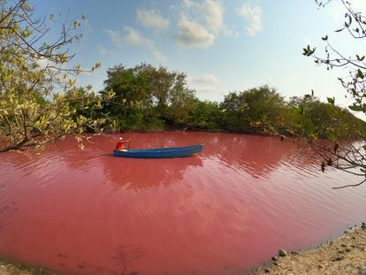 A man paddles his boat across the pink waters of La Escobilla lagoon in Oaxaca, Mexico.
