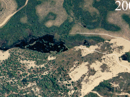 How Taraje Lagoon in Doñana National Park has changed over time.