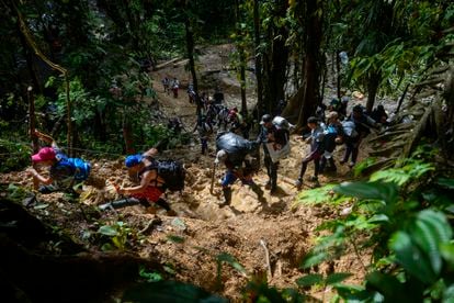 Migrants walk through the jungle of Darién, between Colombia and Panama, in April 2023.