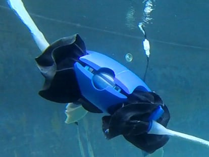 Tortuga Robotica Anfibia