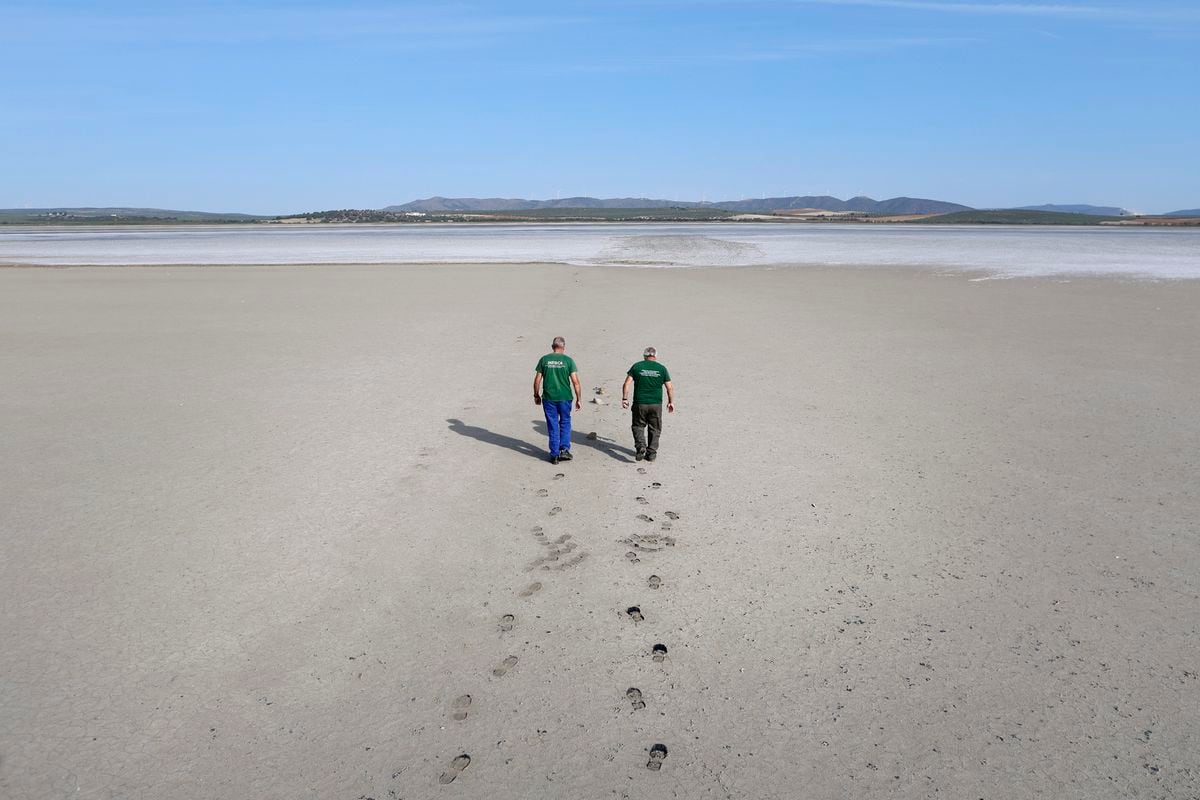 La sequía convierte una de las mayores lagunas de España en un desierto de sal |  España