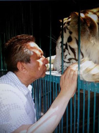 Deputy Sergio Gómez Olivier pets one of his tigers.