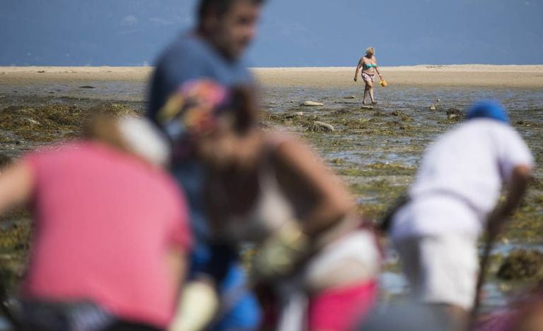 A bather and shellfish-catchers on the beach of Vilanova de Arousa (Pontevedra).