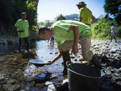 Ismael Sanfiz searches for gold in Navelgas river, in Asturias.