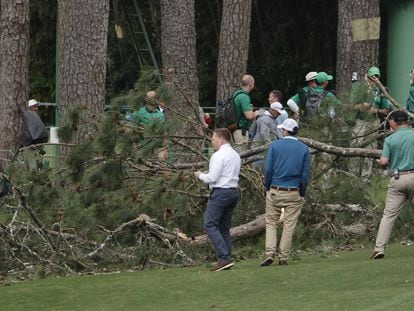 A large tree is on the ground near the 17th tee during a suspension in play due to weather, in the second round of the Masters Tournament at the Augusta National Golf Club in Augusta, Georgia, USA, 07 April 2023