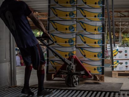 A worker moves a pallet of bananas into a container in Milagro, Ecuador, on Wednesday, May 13, 2020.
