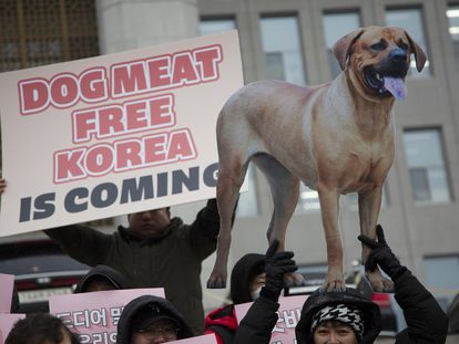 Members of Animal activist groups hold up banners during a ceremomy observing the passage of a law banning the dog meat trade, at the National Assembly in Soeul, South Korea, 09 January 2024.