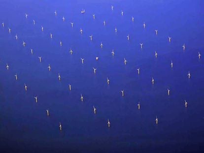 Aerial view of dozens of wind turbines, off the Danish coast.
