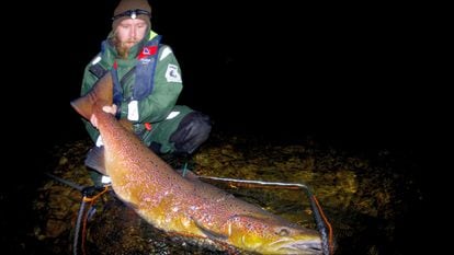 A genetic variation that allows salmon to spend four years at sea and reach 20 kilograms in weight is disappearing among Atlantic salmon in Finland.