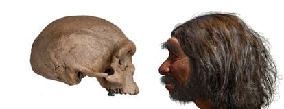 A ‘Homo longi’ skull (l). A reconstruction of his possible appearance (r).