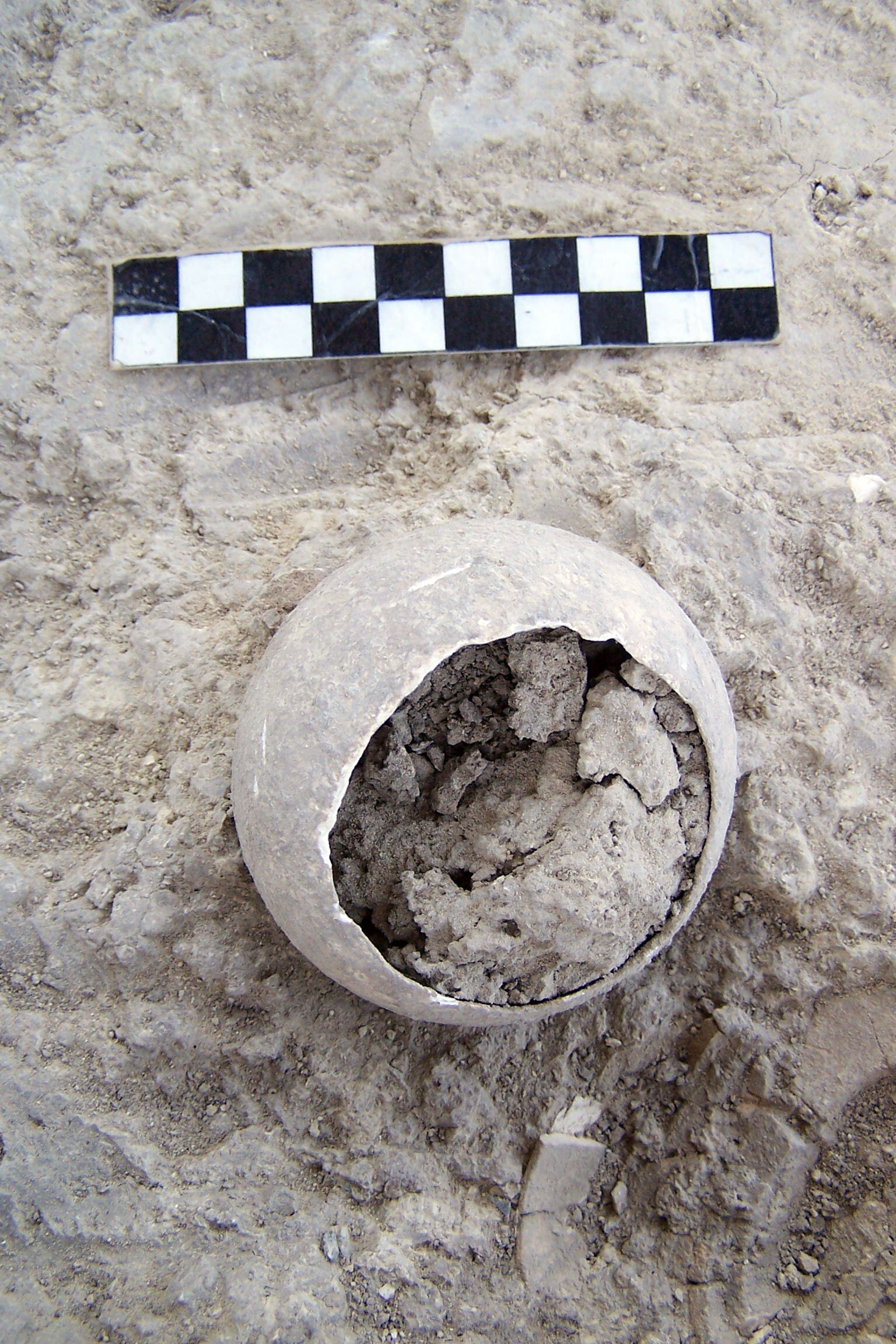 Ostrich egg found at the Valencina site. 