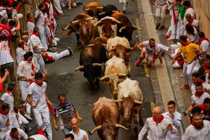 La Palmosilla's fighting bulls run among thrill-seekers during the first day of the running of the bulls during the San Fermin fiestas in Pamplona, on July 7, 2023.
