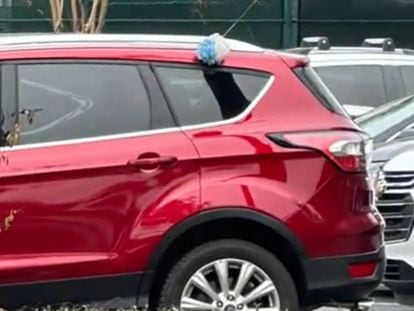 Some drivers put loofahs on the roof of their car for a curious reason.