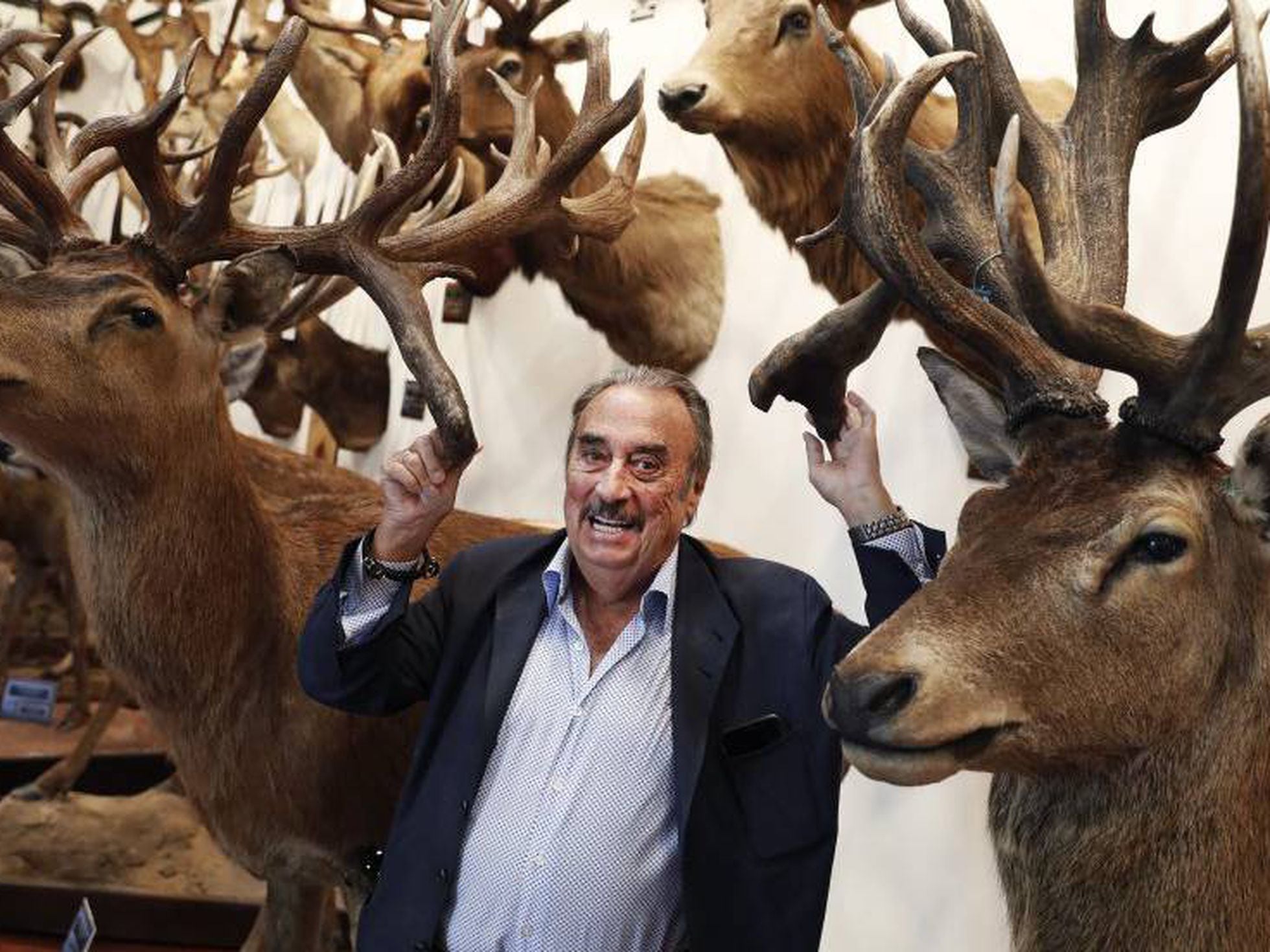 Spanish entrepreneur's dream of a hunting museum turns into a nightmare |  Society | EL PAÍS English Edition