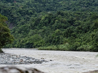 The Aguarico-Chingual-Cofanes Water Protection Area is Ecuador's largest at 250,000 acres.