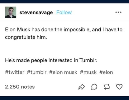 Musk en Tumblr
