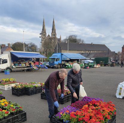 Kevin (left) sorts his flowers at the Shambles Market in Armagh. In the background, the Catholic Cathedral of Saint Patrick.