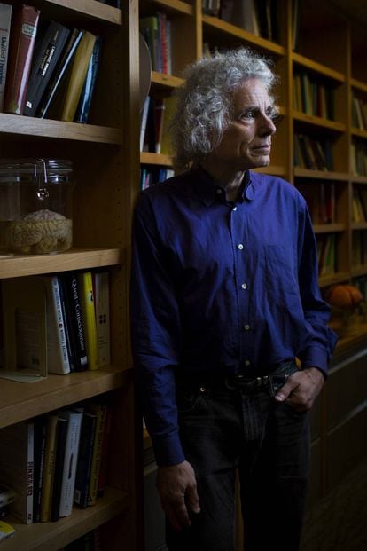 Pinker, en su despacho del departamento de Psicología Cognitiva de Harvard.