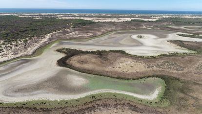 Aerial view of the Santa Olalla permanent lagoon, in Doñana, completely dried up this Friday. / DOÑANA BIOLOGICAL STATION (CSIC)