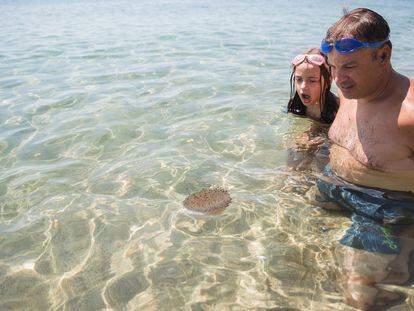 In case of a jellyfish sting, wash the area with seawater (never with fresh water) and apply cold compresses.