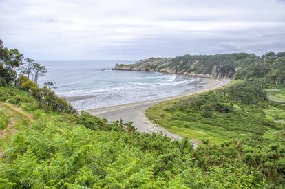 Anyone approaching Barayo from Navia will be treated to one of the parking lots with the most sublime views on the Cantabrian coast: salt flats, marshes, dunes, tall grass and cane fields, pine trees and eucalyptus on a cliff.