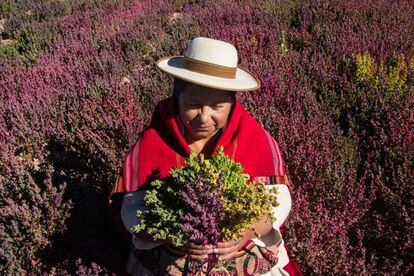 Bolivian agronomist Trigidia Jiménez.