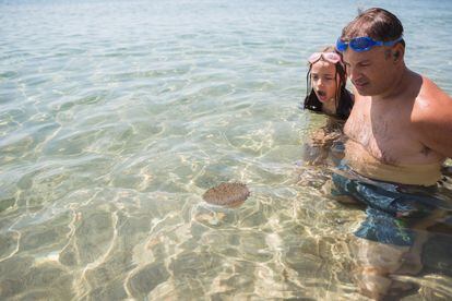 In case of a jellyfish sting, wash the area with seawater (never with fresh water) and apply cold compresses.