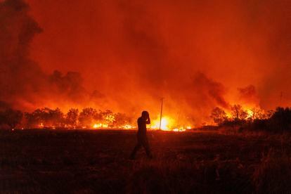 Flames burn a forest during a wildfire in Avantas village, near Alexandroupolis town, in the northeastern Evros region, Greece, on Aug. 21, 2023.