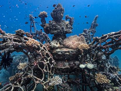 Coral Nurseries. The coral reefs of Pemuteran, northwest of Bali, have been deteriorated due to aggressive fishing methods used in the area. To restore the habitat, coral nurseries have been built using a technology called electrolytic mineral accretion (Biorock).
