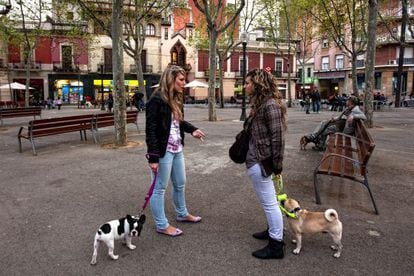 Two young people walk their dogs in Barcelona's Horta neighborhood.