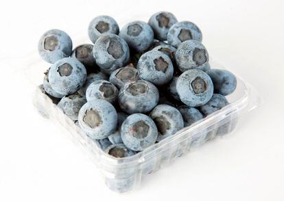  Blueberries of the Matías variety, exported by Inka's Berries.