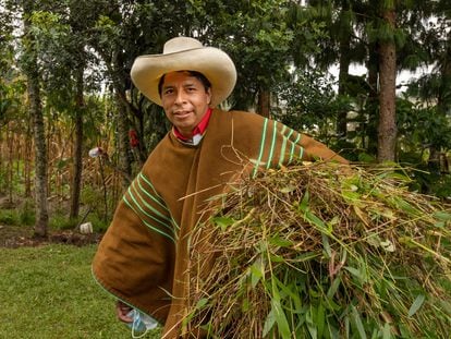 Pedro Castillo  returning home after collecting plants for fodder in late May.