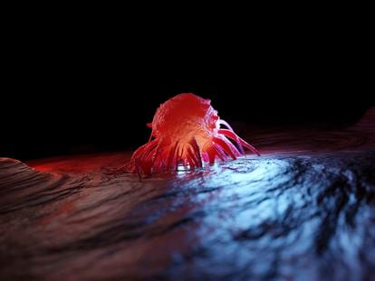 Three-dimensional render of a cancer cell.