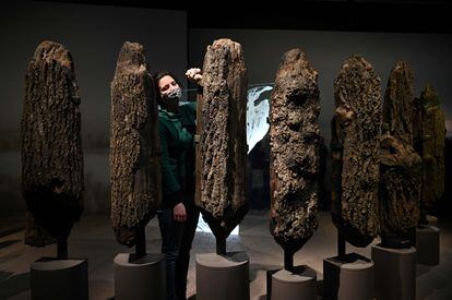 A museum employee dusts a section of Seahenge.